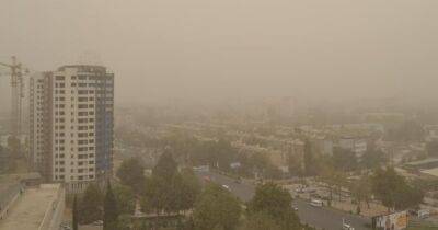 До 31 июля в отдельных районах Таджикистана сохранится пыльная буря и мгла