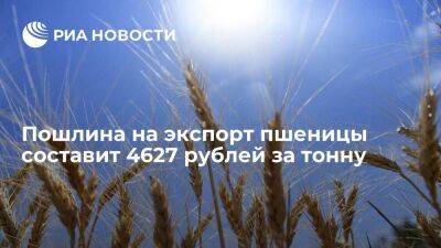 Минсельхоз: пошлина на экспорт пшеницы из России с 3 августа составит 4627 рублей за тонну