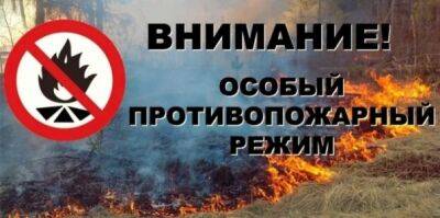 Вниманию кунгуряков: с 1 августа в лесах на территории Пермского края установлен особый противопожарный режим!