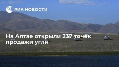 В Алтайском крае открыли 237 точек, где жители могут приобрести уголь к зиме