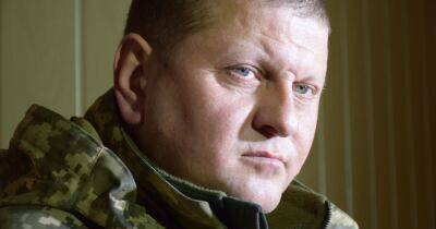 Залужный пообещал отомстить за каждого погибшего или искалеченного украинского военного