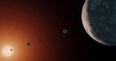 Телескоп "Уэбба" показал солнечную систему со множеством похожих на Землю планет