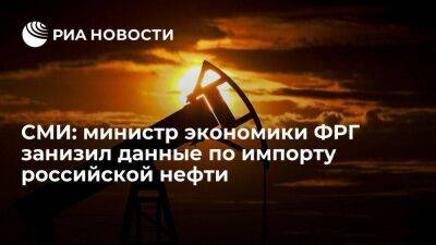 Welt: министр экономики ФРГ Хабек в конце апреля занизил данные по импорту нефти из России
