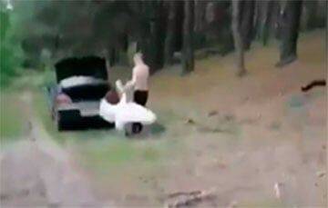 Белорусы опознали живодера, затаскивавшего лебедя в багажник авто в Витебской области