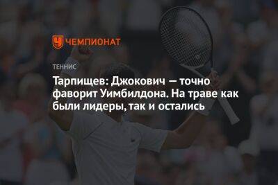 Тарпищев: Джокович — точно фаворит Уимбилдона. На траве как были лидеры, так и остались