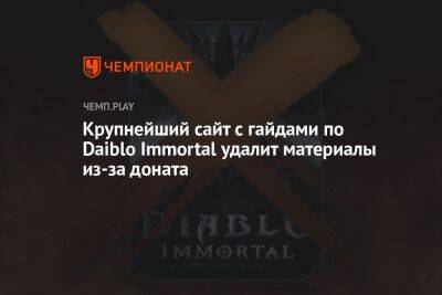 Крупнейший сайт с гайдами по Daiblo Immortal удалит материалы из-за доната