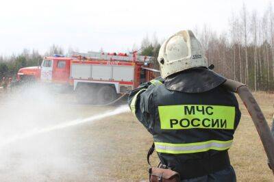 В Тверской области продолжаются природные пожары