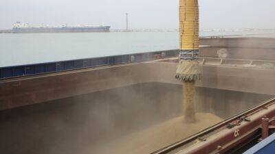 Украина сообщила о задержании в Турции российского сухогруза с зерном