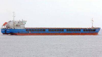 Турция задержала российское судно с зерном из оккупированного Бердянска - посол