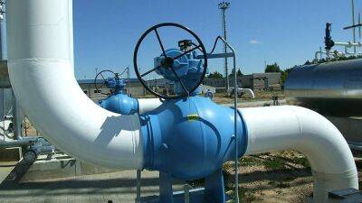 Энергетик оценил объемы поступающего газа на Украину из Словакии