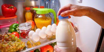 Виды молока и срок годности. Как правильно хранить молоко после открытия