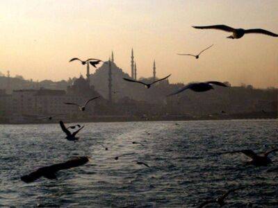 Anadolu: Турция закрыла движение по Босфору в обе стороны из-за поломки судна