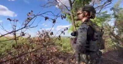 Бойцы бригады "Холодный Яр" уничтожили оккупантов самодельным дроном-камикадзе (видео)