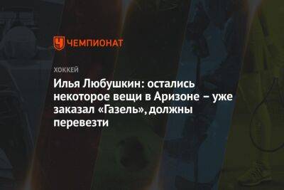 Илья Любушкин: остались некоторое вещи в Аризоне – уже заказал «Газель», должны перевезти