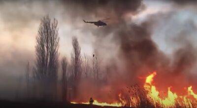 Огненное ЧП на россии: Якутии почти не осталось – огонь все уничтожает. Видео
