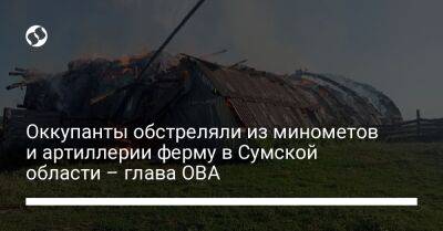 Оккупанты обстреляли из минометов и артиллерии ферму в Сумской области – глава ОВА