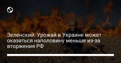 Зеленский: Урожай в Украине может оказаться наполовину меньше из-за вторжения РФ