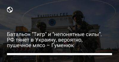 Батальон "Тигр" и "непонятные силы". РФ тянет в Украину, вероятно, пушечное мясо – Гуменюк
