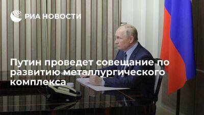 Путин 1 августа проведет видеосовещание по развитию металлургического комплекса