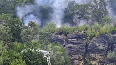 Чехия и Германия борются с лесными пожарами в национальных парках