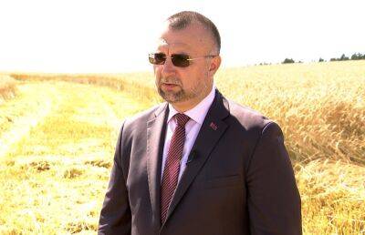 Игорь Брыло - Будет ли Беларусь экспортировать зерно, рассказал министр сельского хозяйства - ont.by - Белоруссия
