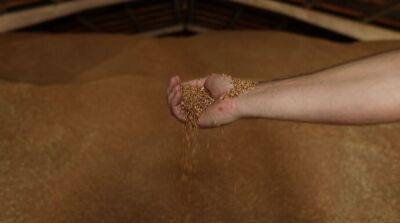 Ливан подтвердил, что на задержанном сирийском судне краденое украинское зерно