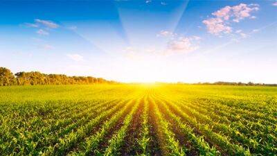 Количество сделок с сельхозземлей в Украине за неделю выросло на 70% - Минагрополитики