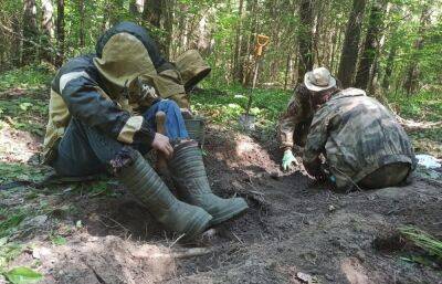 В лесах Тверской области нашли останки пилота самолета, разбившегося в годы войны