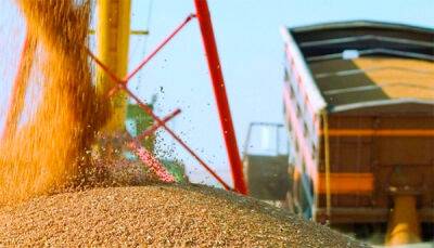 Экспорт зерна: более 20 компаний планируют или уже строят перевалки в зонах новых маршрутов