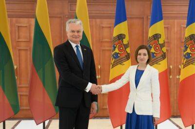 Президент Молдавии обсудит с Науседой вопросы региональной безопасности, энергетики