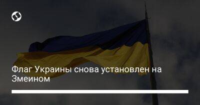 Флаг Украины снова установлен на Змеином