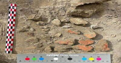 В Бухаре найдены фрагменты настенной росписи, датируемые IV в. до н.э. - dialog.tj - США - Нью-Йорк - Бухарская обл.