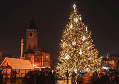 Прага объявила награду за помощь в поисках главной рождественской ёлки