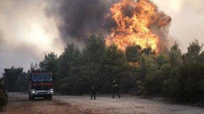 Лесной пожар бушует севернее Афин, один город эвакуирован