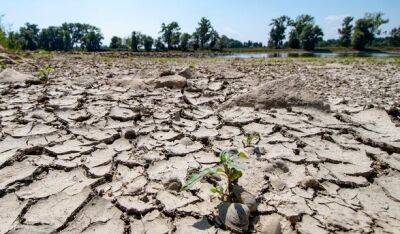 В Испании и Португалии беспрецедентная засуха за последние 1200 лет