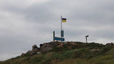 Спикер уточнила об украинском флаге на Змеином: Сбросили, но не устанавливали