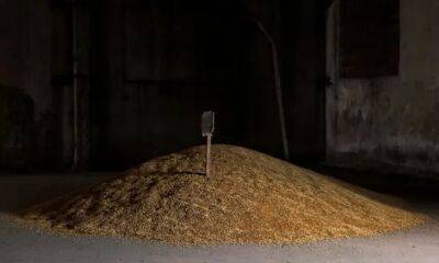 Великобритания не рассматривает нарушение конвенции Монтре для вывоза зерна