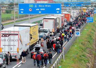 Австрия ограничила срок пребывания беженцев 3 годами