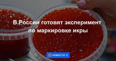 В России готовят эксперимент по маркировке икры