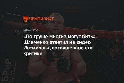 «По груше многие могут бить». Шлеменко ответил на видео Исмаилова, посвящённое его критике