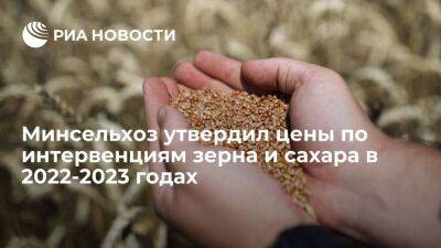 Минсельхоз утвердил минимальные цены по интервенциям зерна и сахара в 2022-2023 годах