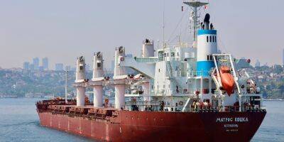 Украина попросила Турцию проверить еще три российских судна на наличие похищенного зерна — Reuters