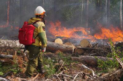 Минсельхоз РФ провел совещание по вопросам муниципального земельного контроля и обеспечению пожарной безопасности в регионах