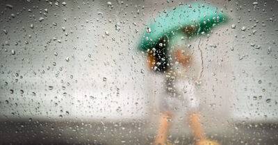 Синоптики: В среду ожидаются дожди