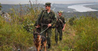 Россия обвинила Украину в обстреле пограничников в Белгородской области, — росСМИ