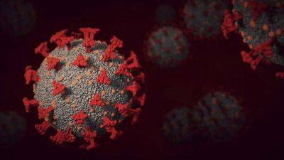 Медики выявили новые заразные штаммы коронавируса, которые грозят третьей волной пандемии