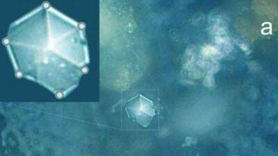 Вчені виявили небачені раніше кристали у метеоритному пилу (Фото) - lenta.ua - Украина - Росія