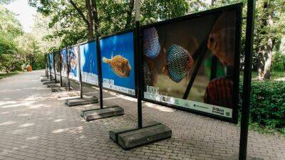 В парке "Сокольники" открылась фотовыставка «Океан в городе»