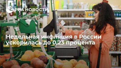 Росстат: в период с 25 июня по 1 июля в России подешевели капуста, картофель и помидоры