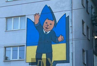 Одесские коты «нового формата»: стену общежития украсил яркий мурал | Новости Одессы